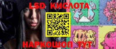 PSILOCYBIN Кулебаки