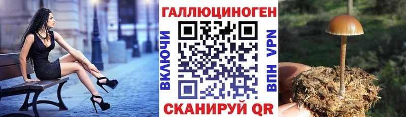 Галлюциногенные грибы мицелий  где продают наркотики  Ртищево 