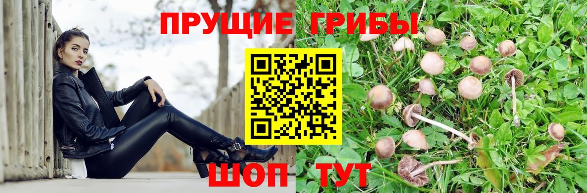 Ртищево  Псилоцибиновые грибы ЛСД  Галлюциногенные грибы ЛСД  Вход с VPN 