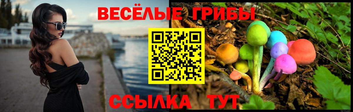 Галлюциногенные грибы Psilocybine cubensis Ртищево